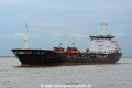 Tasing Swan (MB-100518-06).jpg