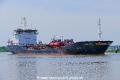 Tasing Swan (OK-020619-1).jpg
