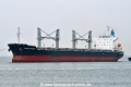 Ocean Crown HK-230922-1.jpg