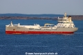 Tern Sea TL-090623-1.jpg