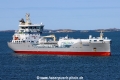 Tern Fors TL-020623-2.jpg