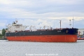 Saga (JS-300811-02).jpg