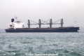 Ocean Tulip (MS-020117-02).jpg