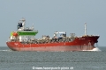 Team Sapphire HK-110617-1.jpg
