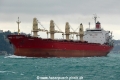 Orhan-Y (OK-290114-1).jpg