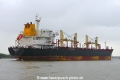 Orient Accord (OK-150915-4).jpg