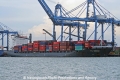 TS Qingdao OS-081111-04.jpg