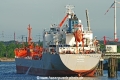 Tigris (KB-D130612-01).jpg