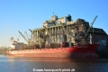 Orchard Bulker (KB-D021216-01).jpg