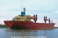 Optima (OK-180111-4).jpg