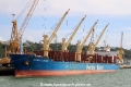 Olympia Logger JP-271022-02.jpg
