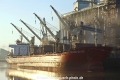 Orchard Bulker TJ-031216-003.jpg