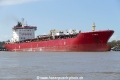 Tonda (OK-140423-1).jpg