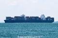 Zim Thailand OS-271024-1.jpg