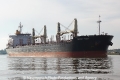 Orient Tiger (OK-041112-0).jpg