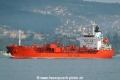 Trans Adriatic (OK-060315-0).jpg