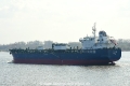 TRF Memphis 020417-06.jpg