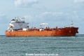 Wonder Altair (MB-100826-1).jpg