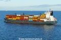 Violetta (MB-231023-2).jpg