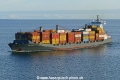 Violetta (MB-231023-4).jpg