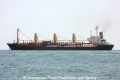 Pacific Banghu (MS-121008-01).jpg