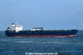 TRF Memphis OS-110417-06.jpg