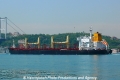 Orient Tiger (OK-220512-4).jpg