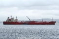 TRF Kobe (KK-201018-0).jpg