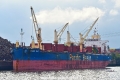 Otago Bay (KB-D110922-01).jpg