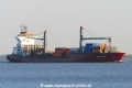 Viking Eagle (KK-120516-0).jpg