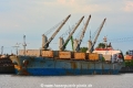 Pacific Pamela (KB-D230619-01).jpg