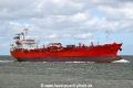Trans Tind OS-280624-07.jpg