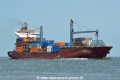 Viking Eagle HK-230616-1.jpg