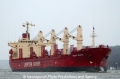 Pacific Bulker (SW-290306-03).jpg