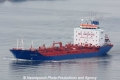 Travestern 150207-01.jpg