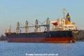 Parana Warrior (OK-140219-3).jpg