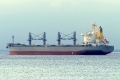Paolo Topic (KK-131016-4).jpg