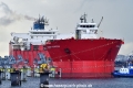 Seaway Albatross (KB-D160926-01).jpg