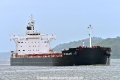 YM Delight (KB-D240426-01).jpg