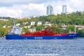 Seagas Major (OK-170826-0).jpg