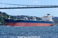 Seavision (OK-080926-0).jpg