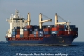 Vladimir (US-270813-2).jpg