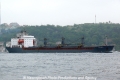 Palaemon (OK-120512-0).jpg
