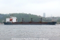 Palaemon (OK-120512-1).jpg
