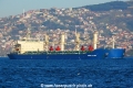 Pacific Talent (OK-170214-1).jpg