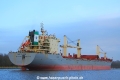 Pacific Rose JB-200224-04.jpg