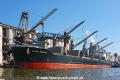 Pacific Seagull 220920-05.jpg