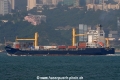 Warnow Dolphin OS-281008-10.jpg