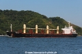 Panforce RV-250416-02.jpg