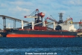 Phoenix Rising TL-020521-1.jpg